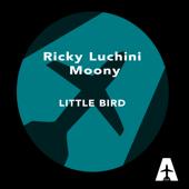 dancealbum-top Ricky Luchini & Moony Little Bird