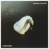 cd cover Ludovico Einaudi-Underwater (Video Edition)