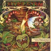hit download Morning Dance    Spyro Gyra