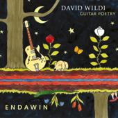 hit download Endawin    David Wildi Guitar Poetry
