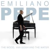 hit download The Wood, Van Gogh and the Water    Emiliano Pepe