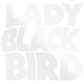 hit download It ll Never Happen Again    Lady Blackbird