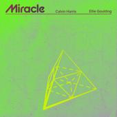 singolo Calvin Harris & Ellie Goulding Miracle