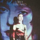hit download Portraits    Birdy