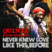 dancesingle-top Quinze & Bob Sinclar Never Knew Love Like This Before
