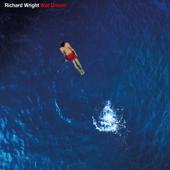 hit download Wet Dream (2023 Remix)    Richard Wright