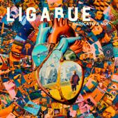 tracklist album Ligabue Dedicato a noi