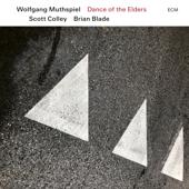 hit download Dance of the Elders    Wolfgang Muthspiel, Scott Colley & Brian Blade
