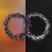 hit download DUAL    The Rose