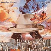 hit download A Remark You Made    Weather Report
