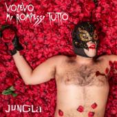 hit download Volevo Mi Rompessi Tutto    JUNGLA