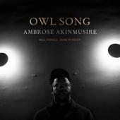hit download Owl Song    Ambrose Akinmusire