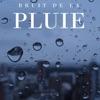 hit download Bruit de la pluie (2024 Remaster)    Sons de la Nature Projet France de TraxLab