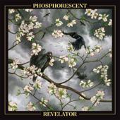 hit download Revelator    Phosphorescent