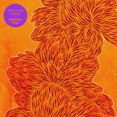 hit download Find Your Flame    Nubiyan Twist