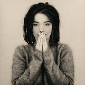 hit download Debut    Björk