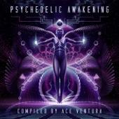 hit download Psychedelic Awakening    Ace Ventura