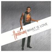 hit download What Is Love (The Mixes)    Haddaway
