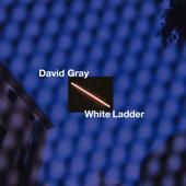 hit download White Ladder (20th Anniversary Edition)    David Gray