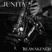 hit download Reawakened    Junity