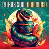 hit download Anaconga    Citrus Sun