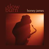 hit download Slow Burn    Boney James