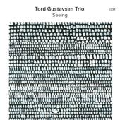 hit download Seeing    Tord Gustavsen Trio
