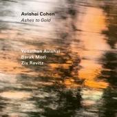 hit download Ashes to Gold    Avishai Cohen, Yonathan Avishai, Barak Mori & Ziv Ravitz