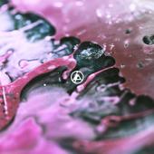 singolo LINKIN PARK The Emptiness Machine