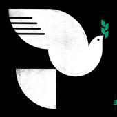 hit download Spirit Fall (feat. Chris Potter & Brian Blade)    John Patitucci