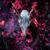 hit download Ember    Colin Stetson