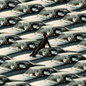 hit download SINK NOW, SWIM LATER    SIENNA SPIRO