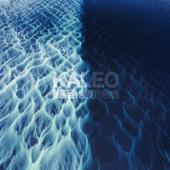 hit download Lonely Cowboy    KALEO