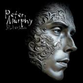 hit download Silver Shade    Peter Murphy