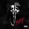 hit download KAT (feat. La Rvfleuze)    Gazo