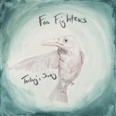 Foo Fighters-Today s Song