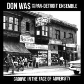 hit download Groove In The Face Of Adversity    Don Was