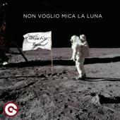 hit download Non Voglio Mica La Luna    Fiordaliso & Tava