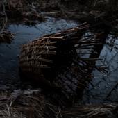 hit download Surtùm    Massimo Silverio