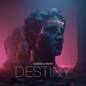 hit download Destiny    Alesso & SACHA