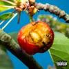 tracklist album Mecna DISCORDIA, ARMONIA E ALTRI STATI D ANIMO