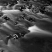 hit download Everything Flows    Rodrigo Etcheto