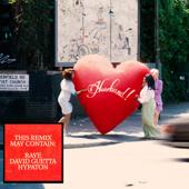 hit download WHERE IS MY HUSBAND! (Remix)    RAYE, David Guetta & Hypaton