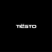 hit download Bring Me To Life    Tiësto & FORS