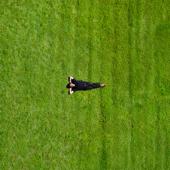 hit download Non c è fretta    Nico Arezzo