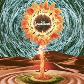 hit download Waves of Sound Across Oceans of Time    Boy Hits Car