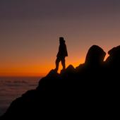 hit download Catharina    Martin Garrix