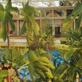 hit download Boxe (Instrumental)    Baia Zaiana & Giargo