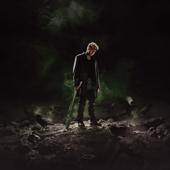 hit download LA STORIA DEL RAGAZZO CORVO    Wenzo