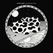 hit download Third Side of the Moon    Modest Mouse